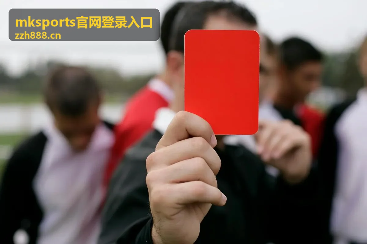 mksports官网登录入口名额与票种状态查看位置